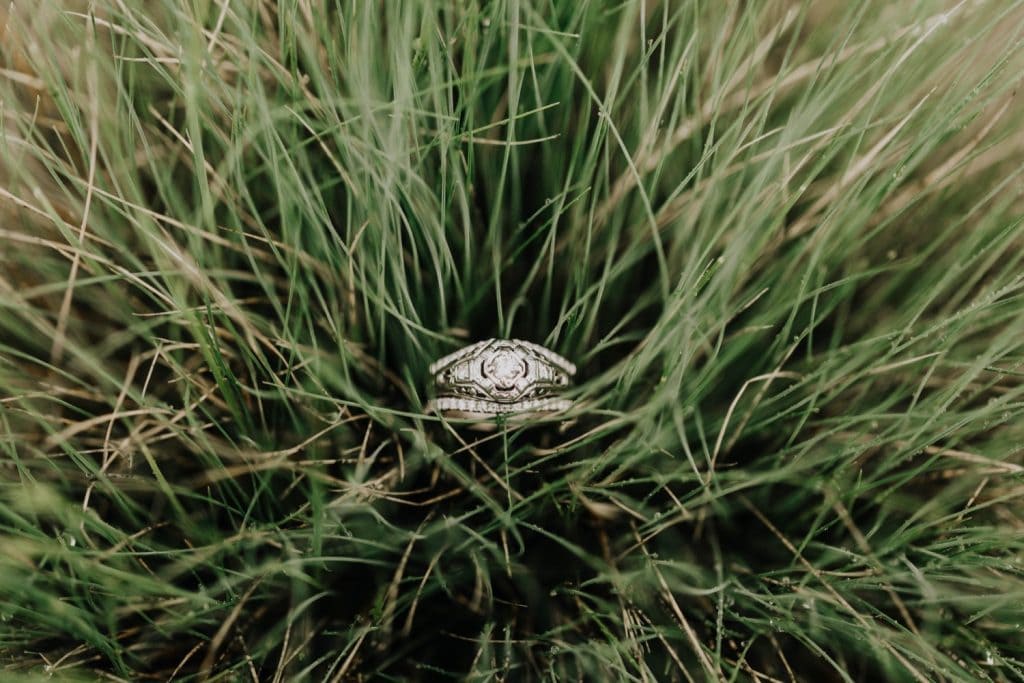 Brilliant Earth vintage engagement ring placed in a meadow