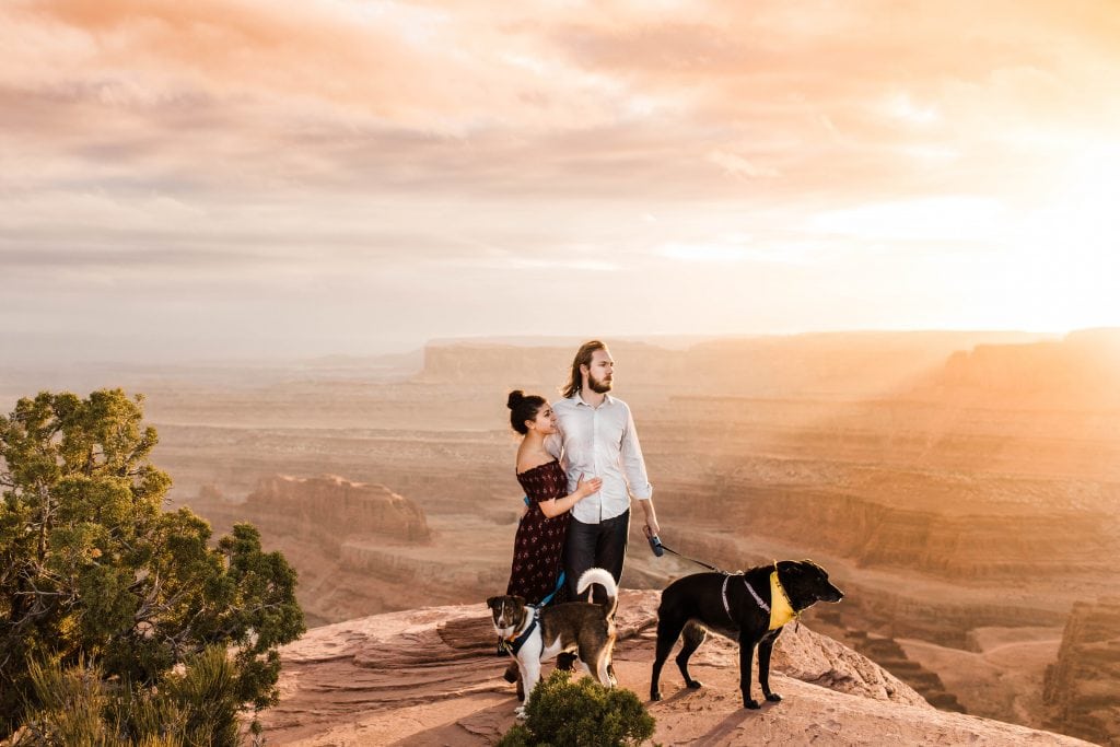 sunset in the desert of Utah with two dogs
