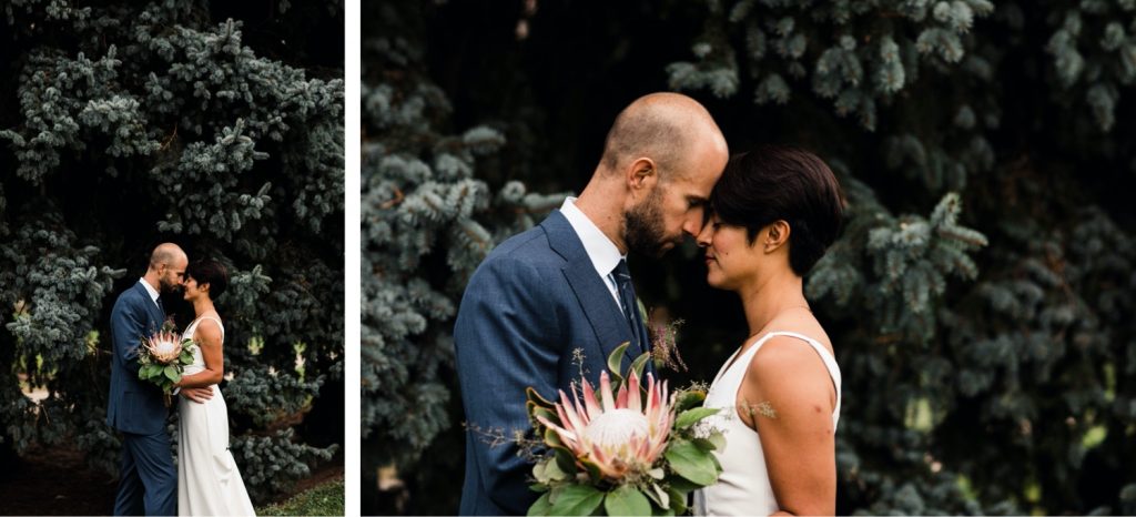 sunrise couples photos before a Denver Botanic Gardens wedding at Woodland Mosaic solarium