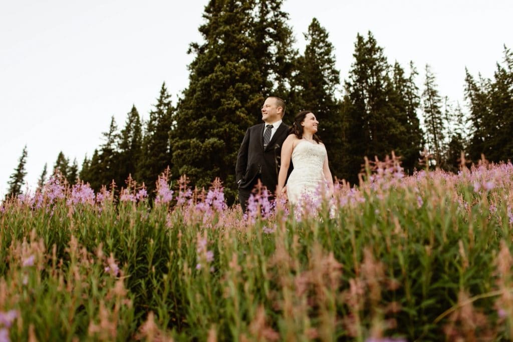 destination elopement photos in an alpine flower meadow
