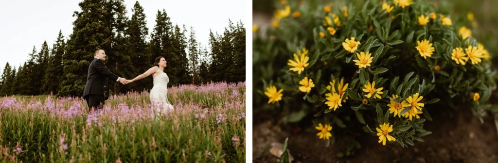 destination elopement photos in an alpine flower meadow