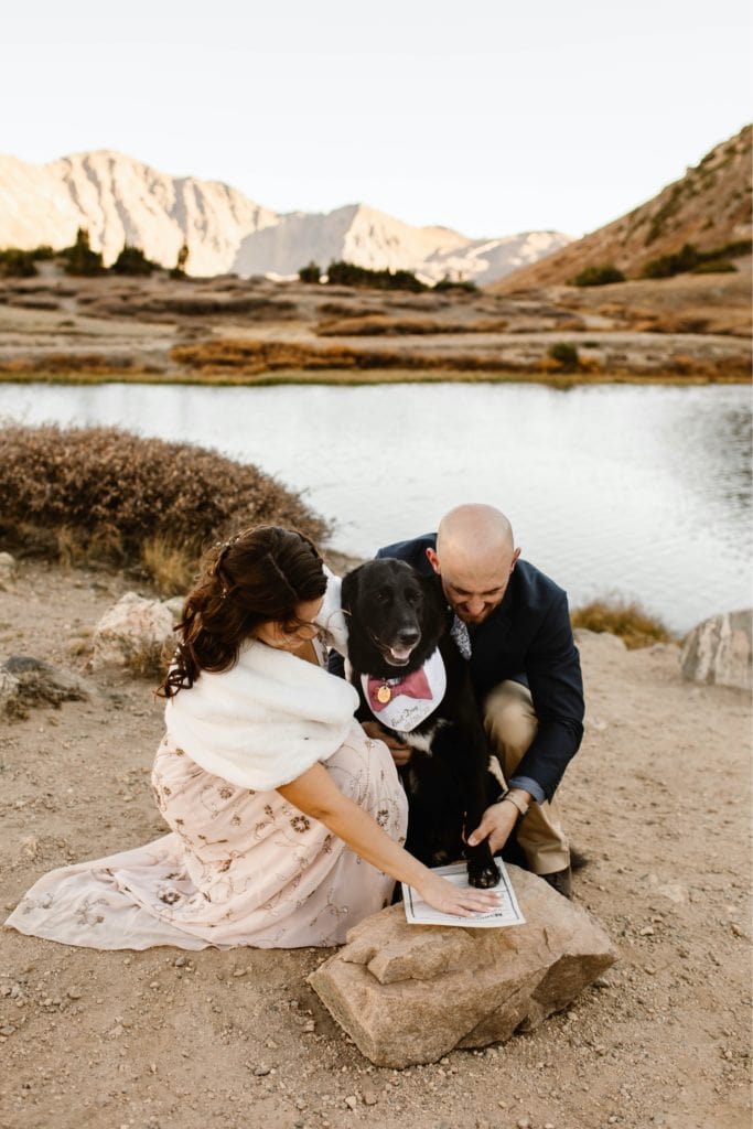 dog signing the marriage license as a witness to the micro wedding