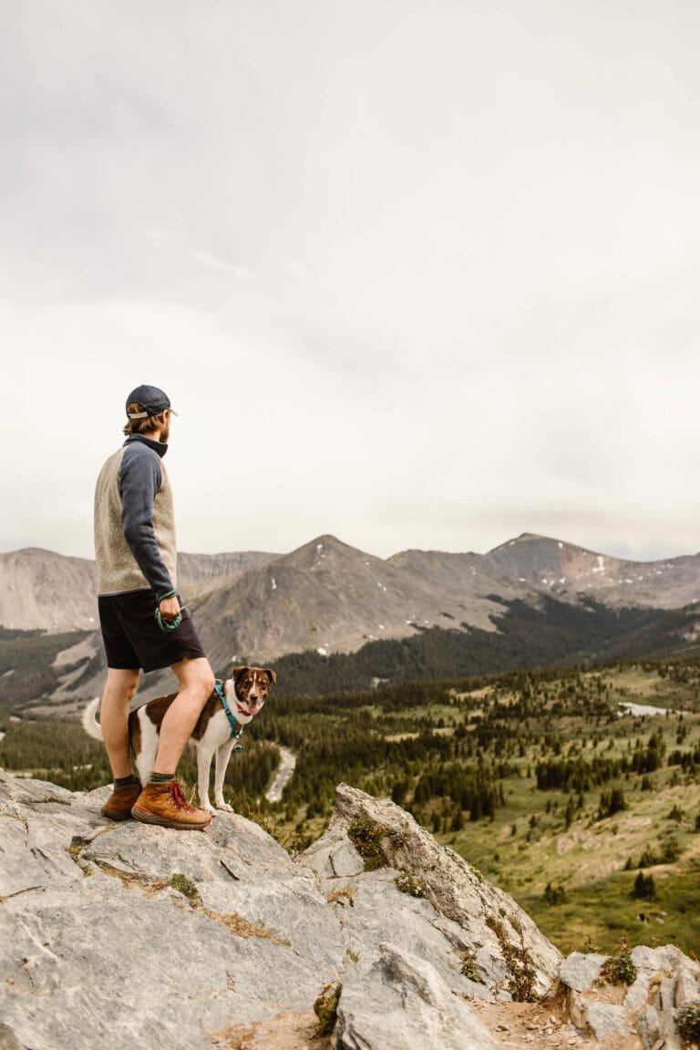 man with his dog at Cottonwood Pass Colorado overlook at the continental divide