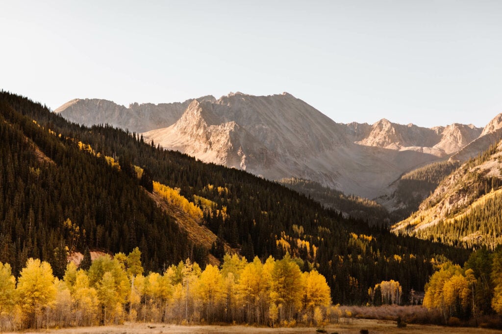 alpenglow on the mountains near yellow aspen trees in Aspen showing what it is like living in Colorado during the changing of the leaves