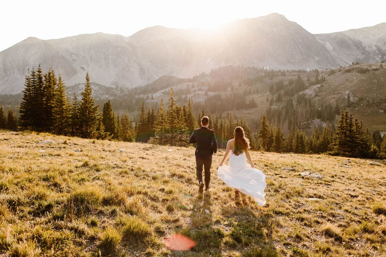 The 8 Best Wedding Dress Bustle Alternatives Complete Guide