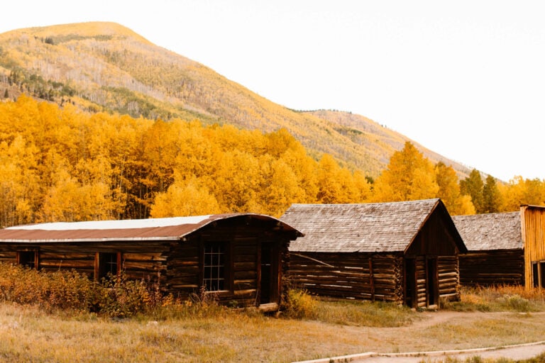 a row of late 1800s log cabin style buildings along the gravel pathway in Ashcroft Ghost Town near Aspen CO