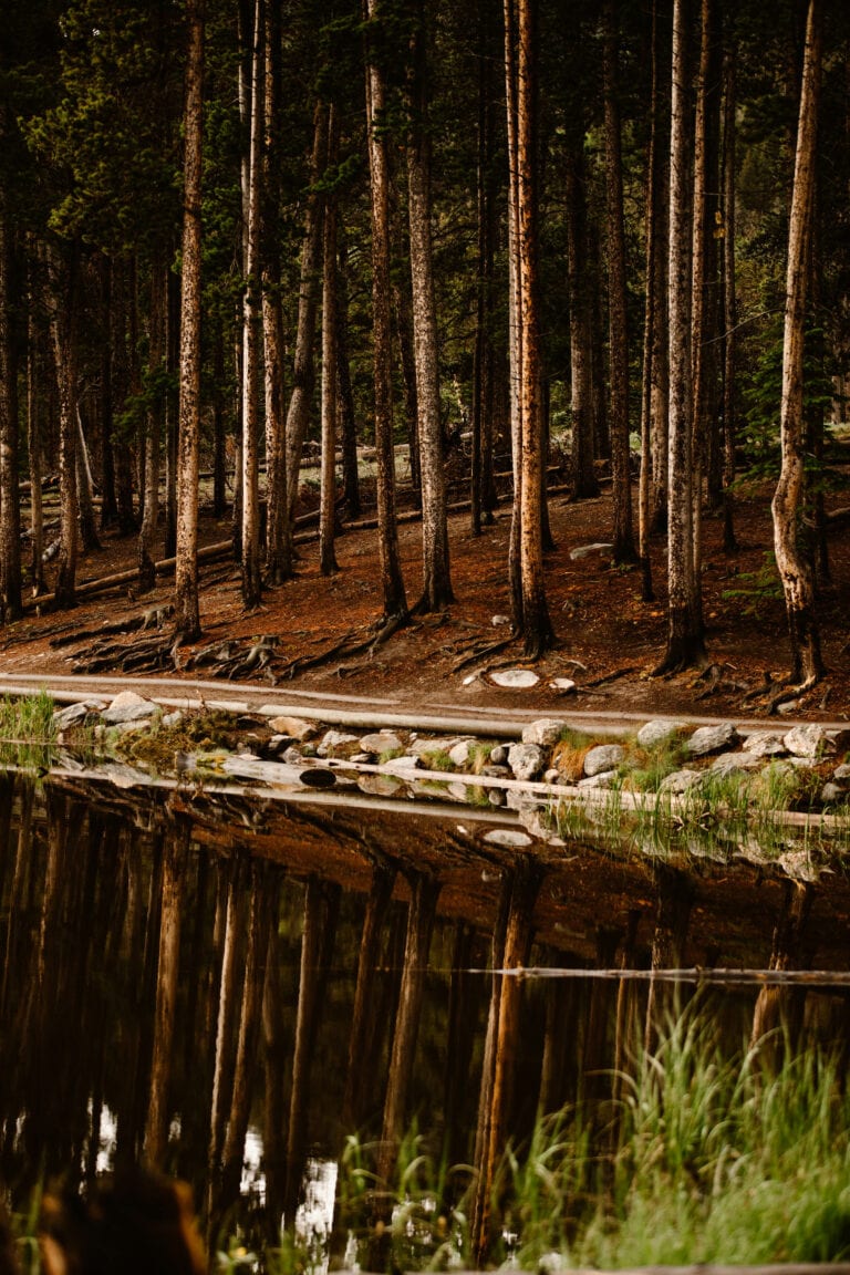 trees reflected in the water along a hiking trail path at Sprague Lake in Colorado