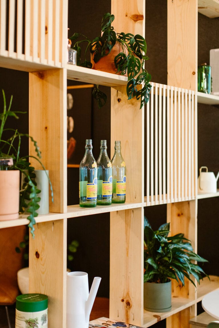 shelf lined with plants and retro style glass bottles