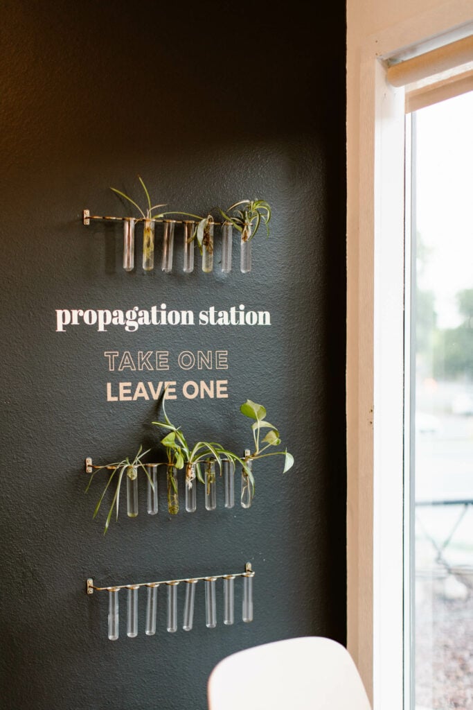 a wall painted black with the words "propagation station. take one. leave one" and small tube shaped vases attached to the wall holding small plants