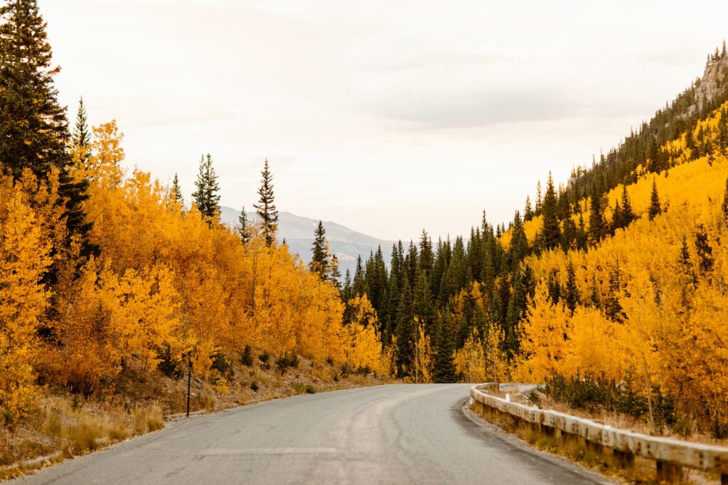 scenic view of the fall colors along the paved road on Guanella Pass, with yellow aspen trees covering the mountains