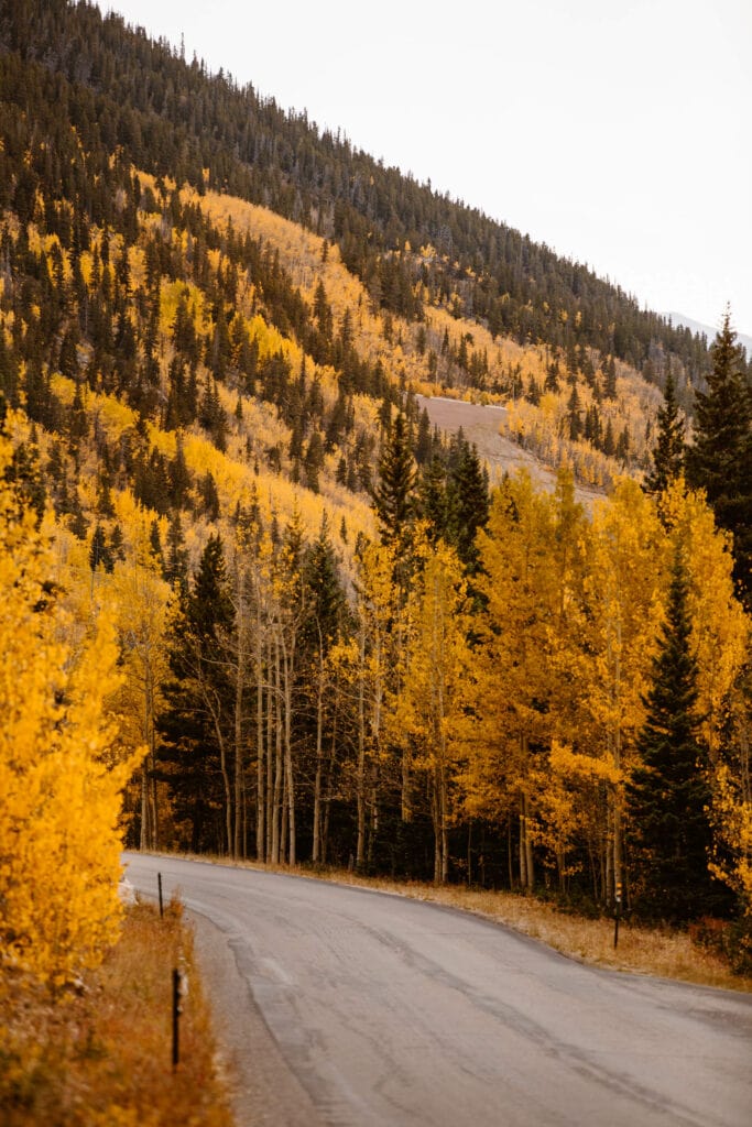 paved road with fall colors on Guanella Pass Scenic Byway in Colorado