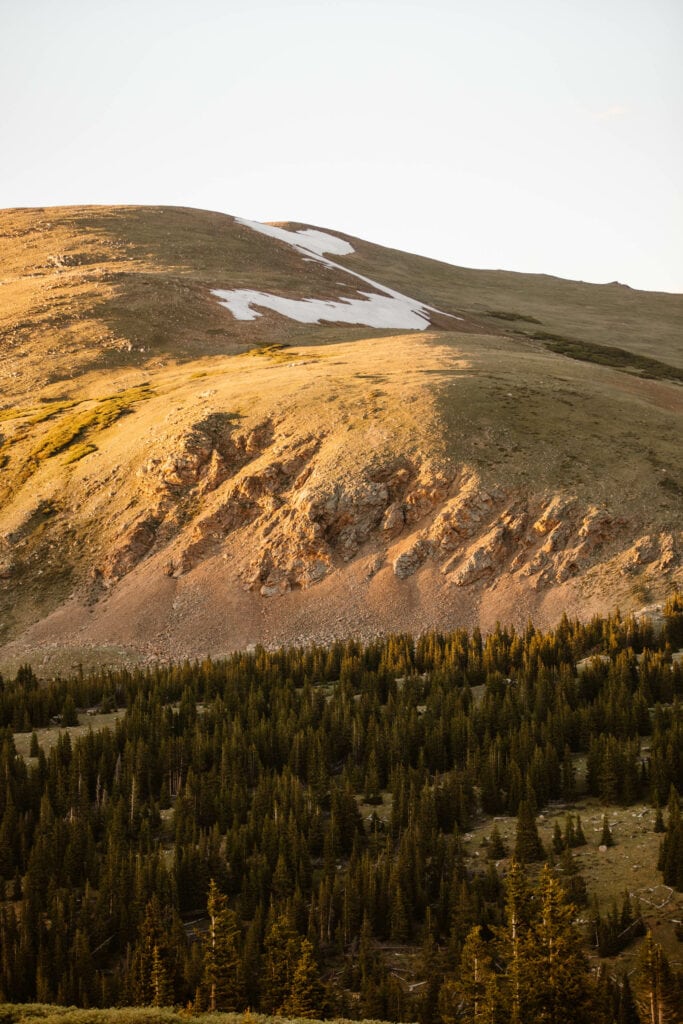 alpenglow on rolling hills above tree line on Guanella Pass Scenic Byway